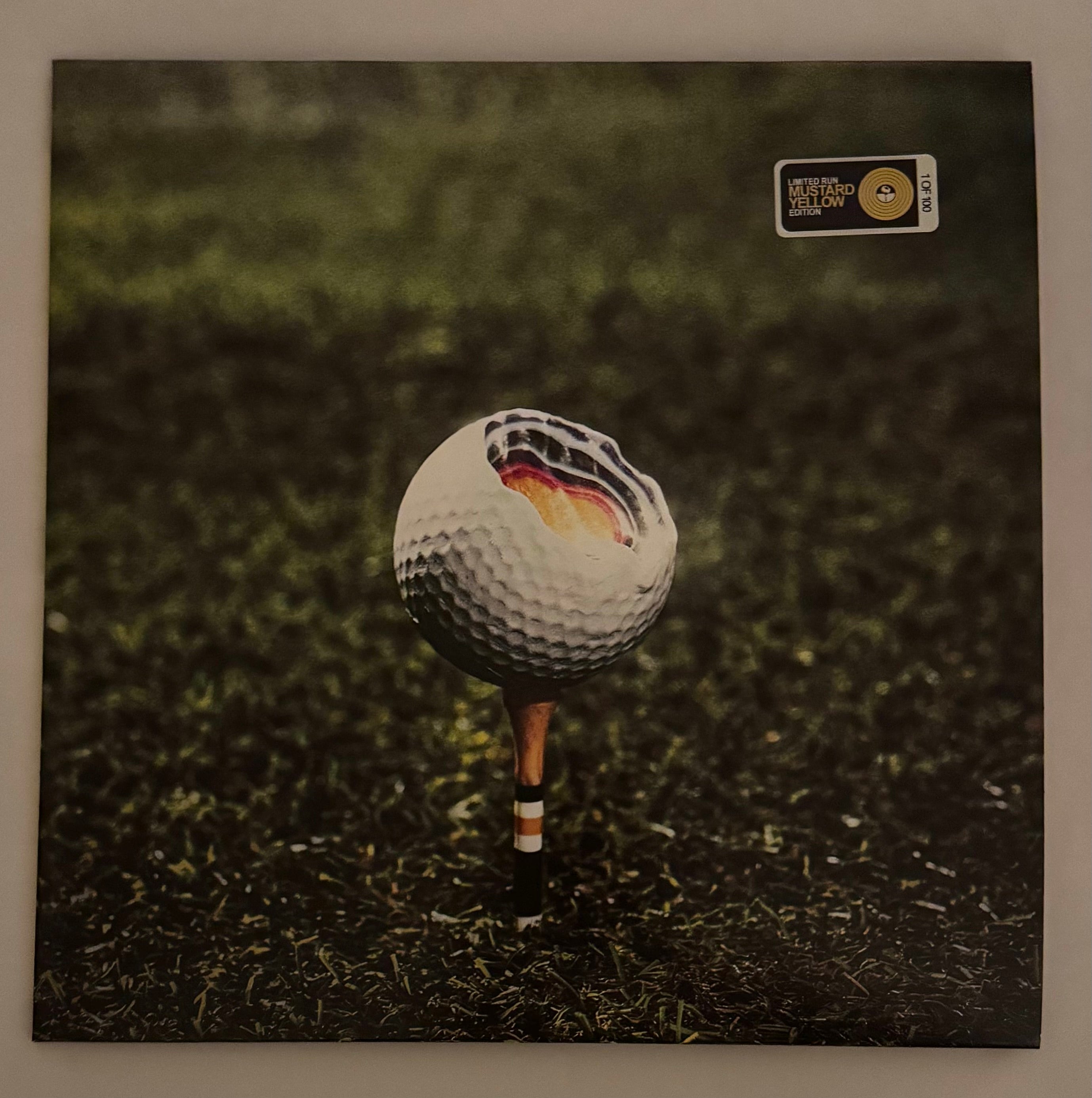 Boy Bandicoot - "Mulligan" Vinyl