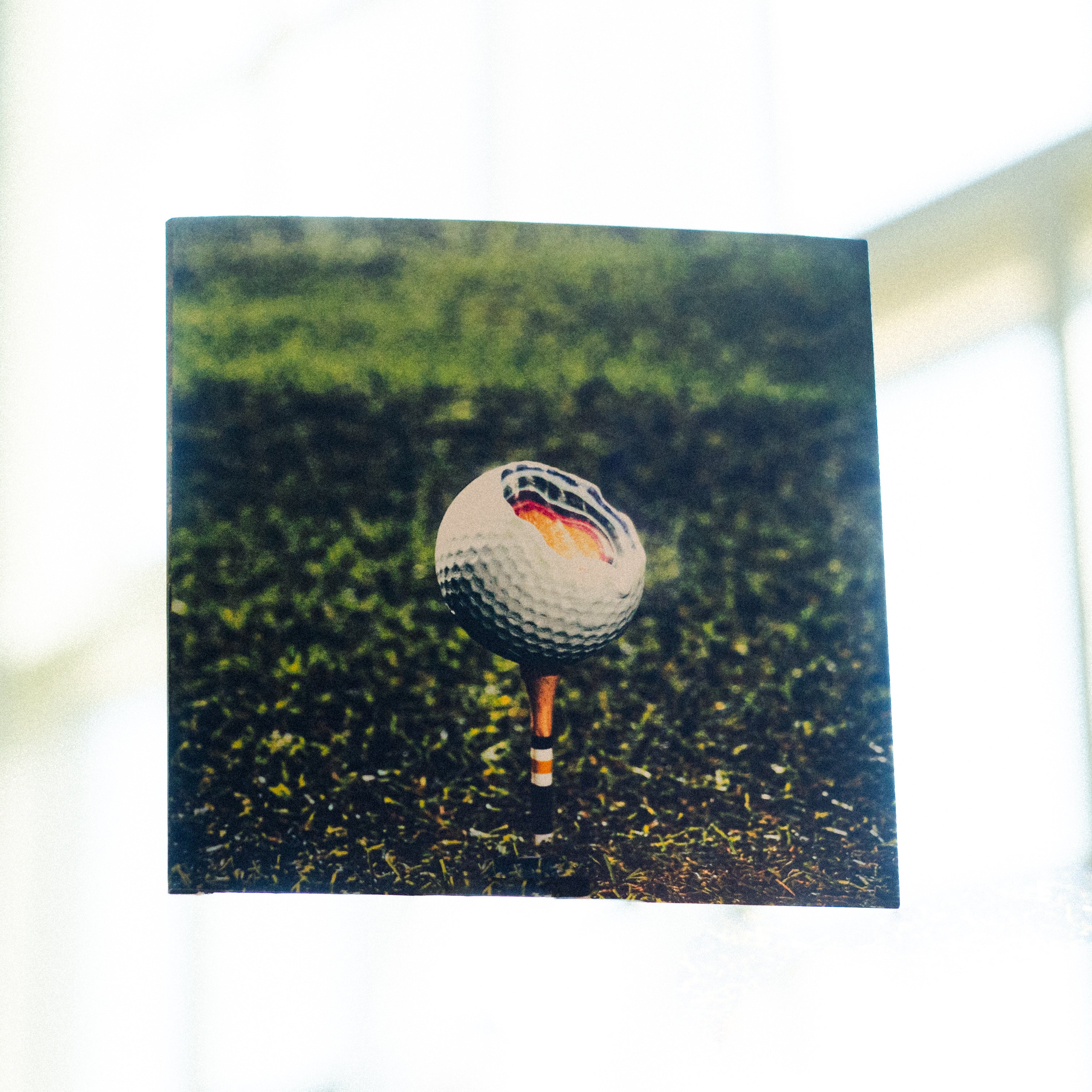 Boy Bandicoot - "Mulligan" CD